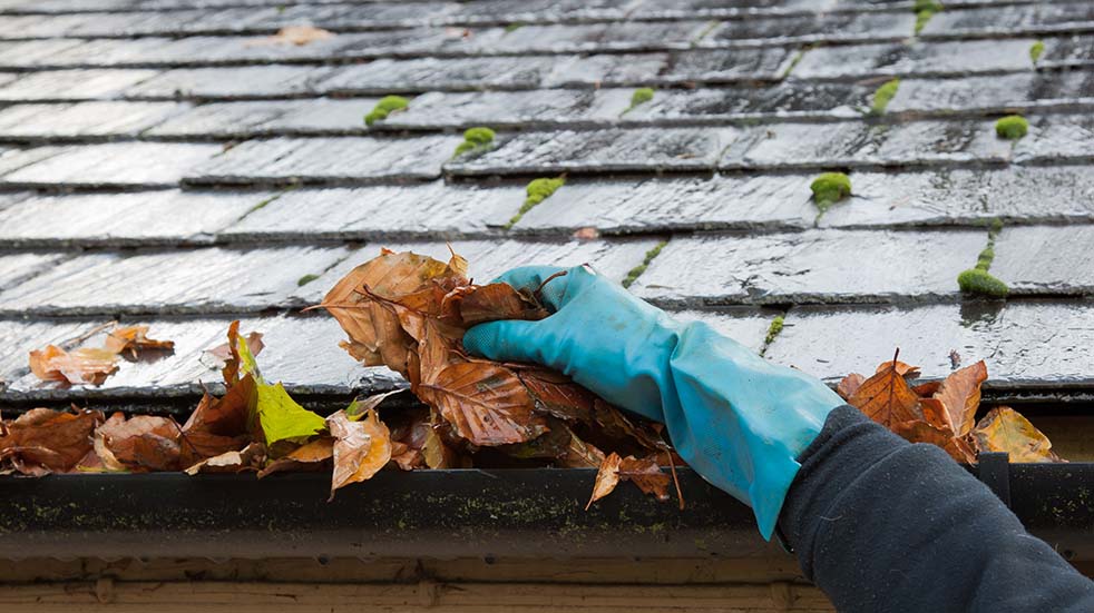 Autumn DIY leaves gutter pipe